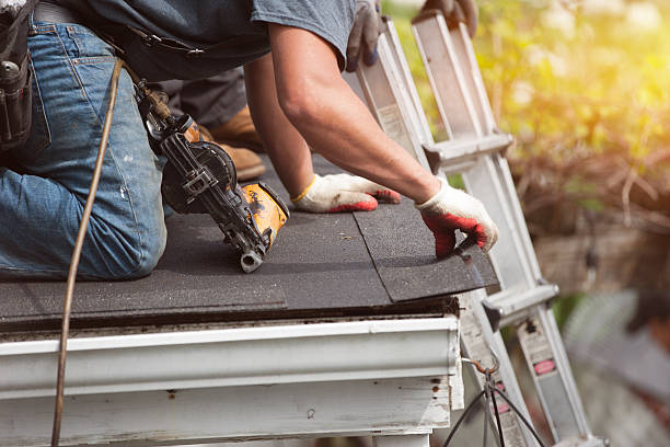 Best Roof Gutter Cleaning  in Sisseton, SD